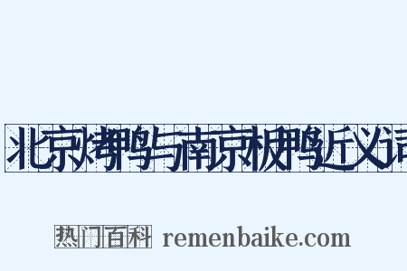 北京烤鸭与南京板鸭近义词是什么意思的图片